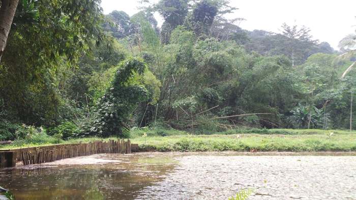 Parc national du Banco